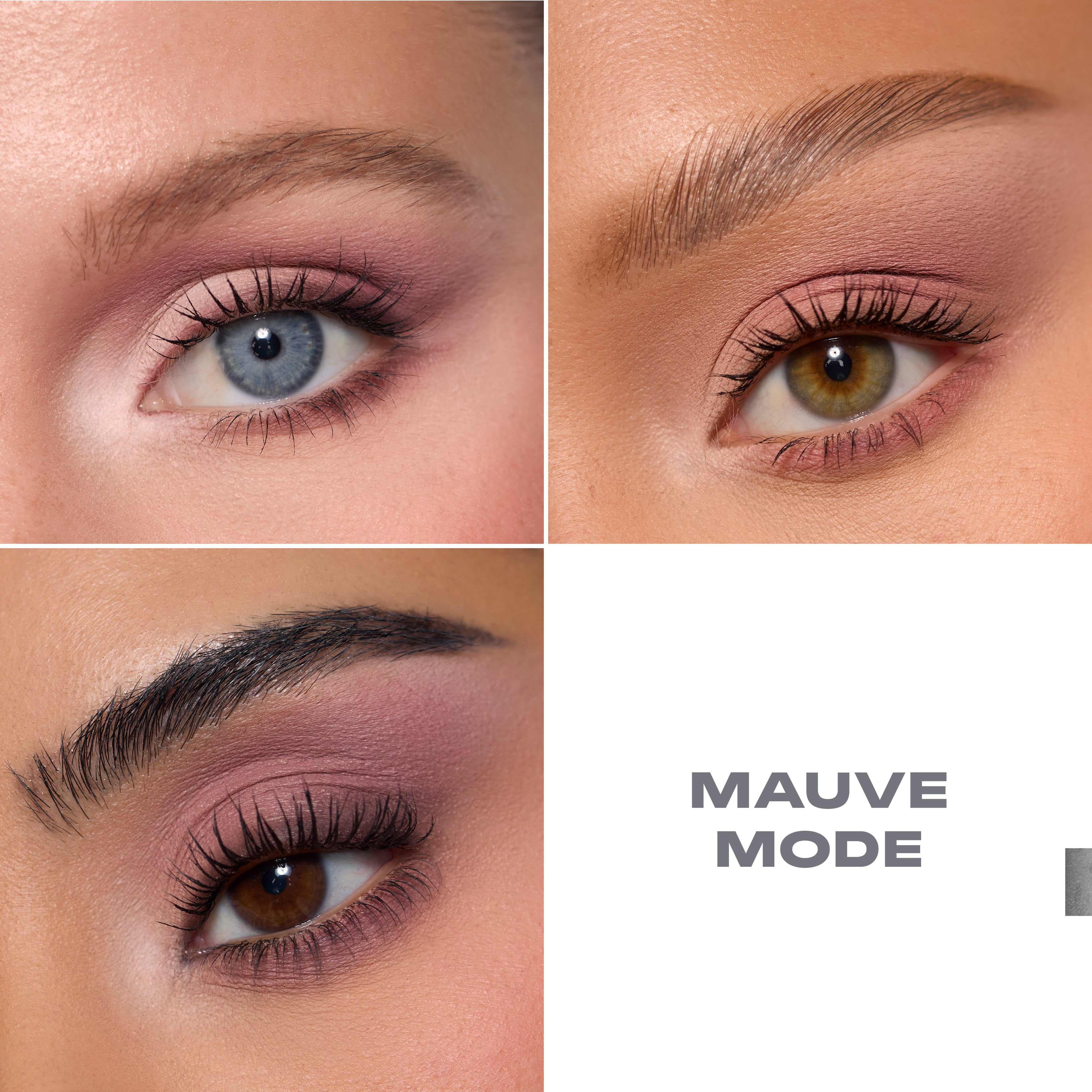 ChromaPlus 6-Pan Eyeshadow Palette